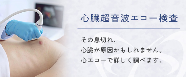 心臓超音波エコー検査